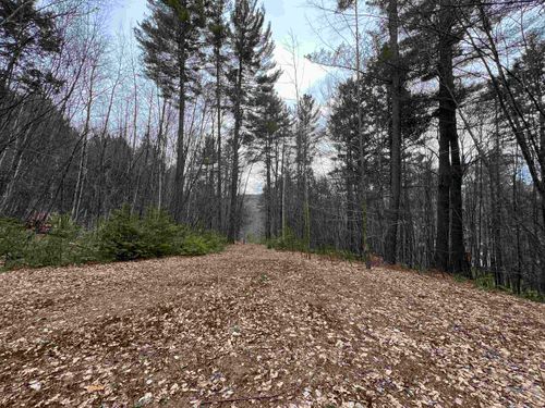 1 Berrie Ln, Townshend, VT, 05353-4417 | Card Image