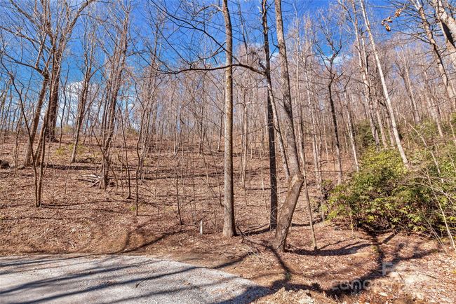 965 Wolf Pen Rd, Home with 0 bedrooms, 0 bathrooms and null parking in Old Fort NC | Image 19