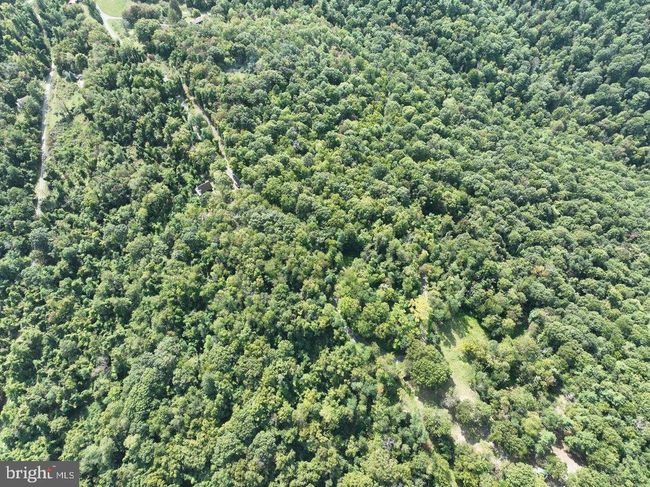 Lot 3 Price Ridge Rd, Home with 0 bedrooms, 0 bathrooms and null parking in STANLEY VA | Image 18