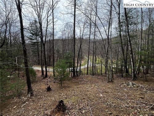 Lot 16 Bear Creek Ln, Deep Gap, NC, 28618 | Card Image