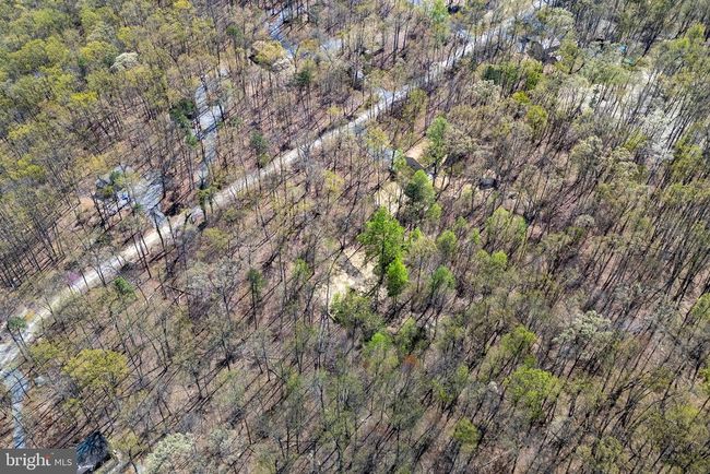 309 Wildwood Ln, Home with 0 bedrooms, 0 bathrooms and null parking in SHENANDOAH VA | Image 14