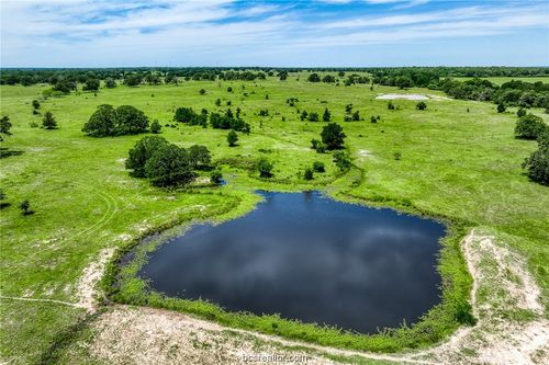 TBD(+/- 80 acres) County Road 423, Somerville, TX, 77879 | Card Image