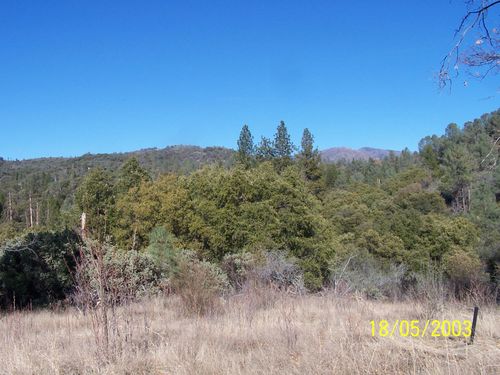 30 Hangtree Ct, Oakhurst, CA, 93644 | Card Image