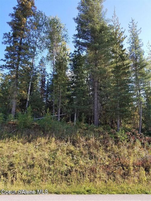 111 Trail Blazer Ct, Pinehurst, ID, 83850-1106 | Card Image