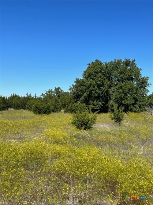 102 Cedar Bluff Loop, Gatesville, TX, 76528 | Card Image