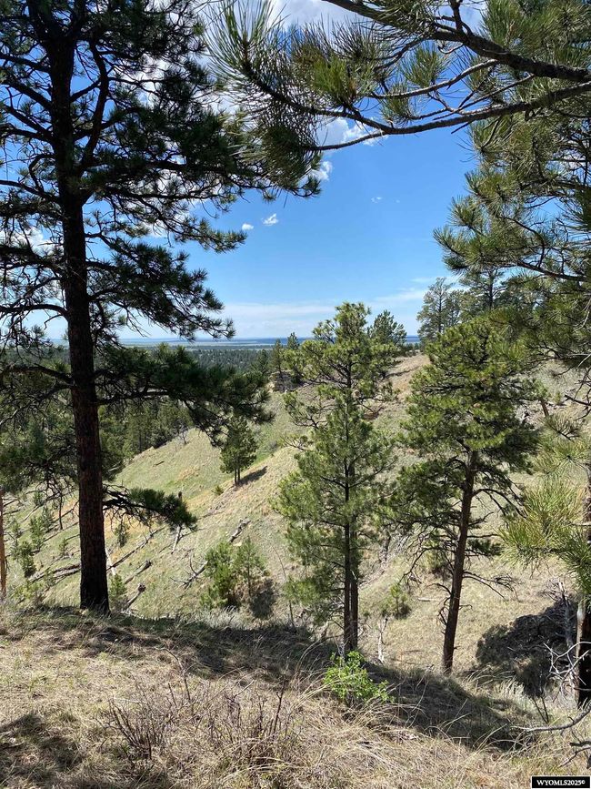 46B Two Pipe Trl, Home with 0 bedrooms, 0 bathrooms and null parking in Sundance WY | Image 10