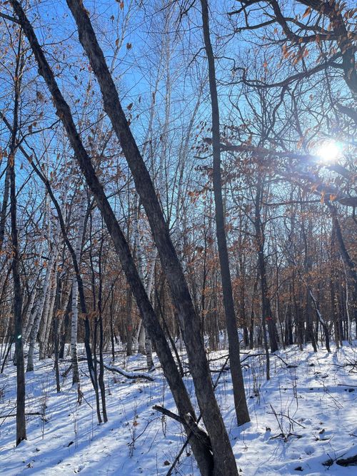 1 181st Ave Nw, Ramsey, MN, 55303 | Card Image