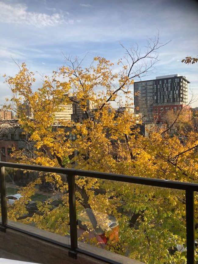 538 23 Ave Sw, Townhouse with 2 bedrooms, 2 bathrooms and 2 parking in Calgary AB | Image 34