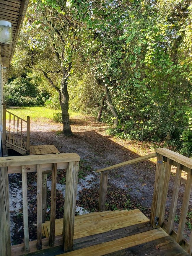 View from back porch with mature foliage. | Image 19