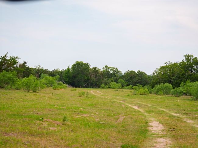 View of woods with a view of rural / pastoral area | Image 16