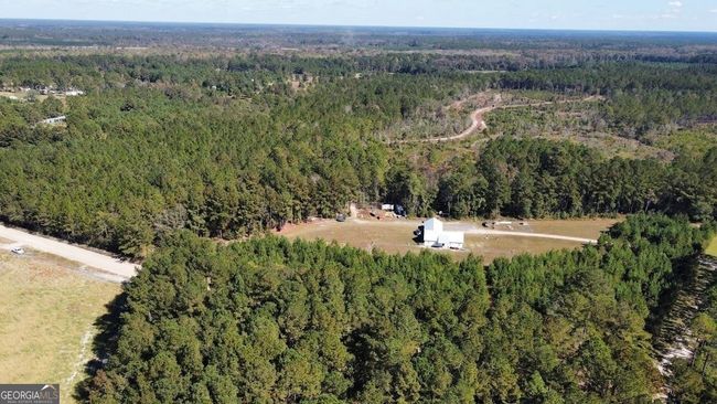 704-ACRES - 99 Old Happy Ln, Home with 0 bedrooms, 0 bathrooms and null parking in Brooklet GA | Image 5