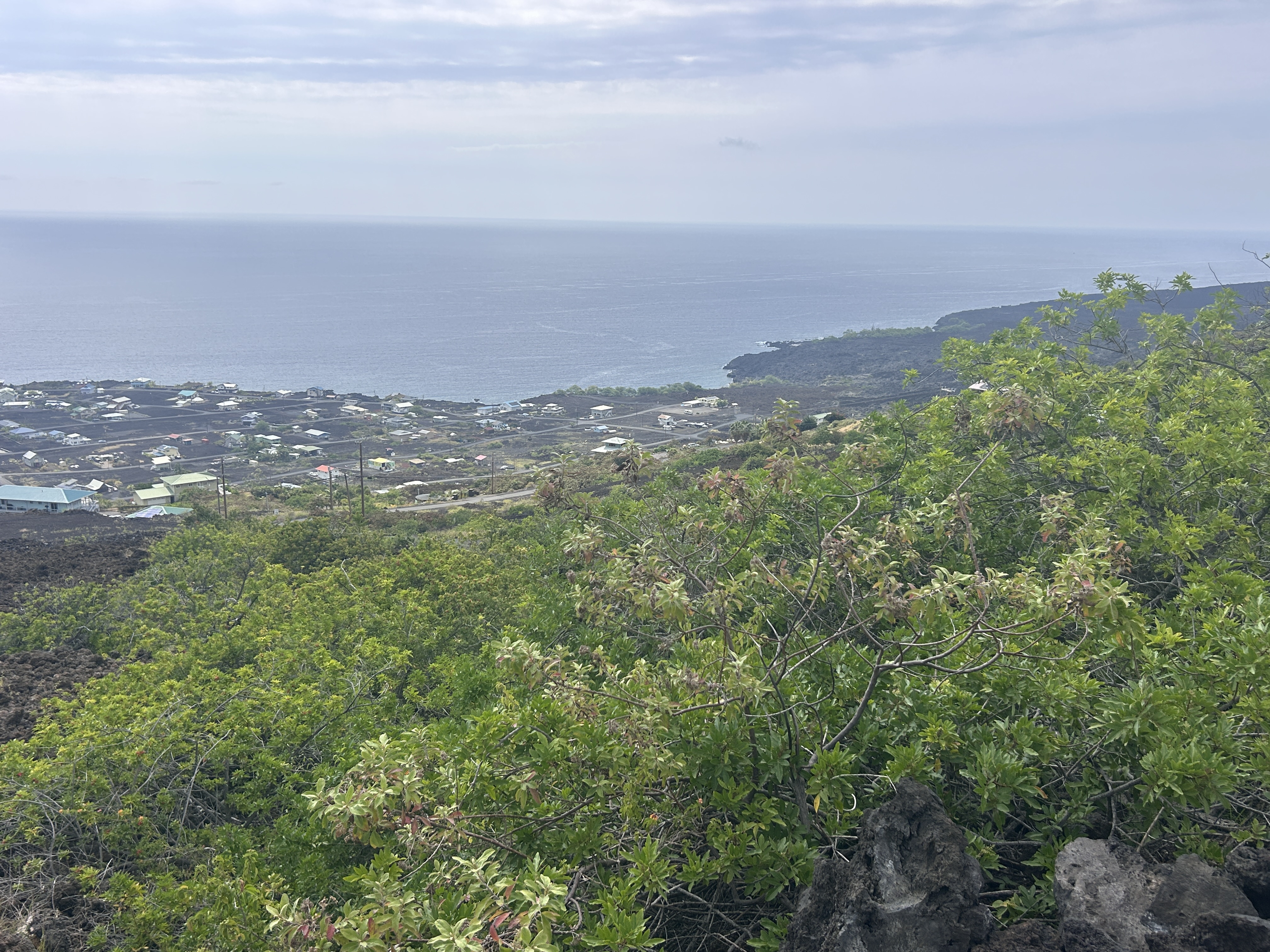 Land in Captain Cook 5