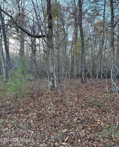 22 Burnaby Ct, Crossville, TN, 38558-7366 | Card Image