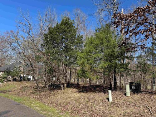 10 Princesa Place, Hot Springs Village, AR, 71909 | Card Image