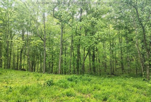 0 Gay Rd, Ripley, WV, 25271 | Card Image