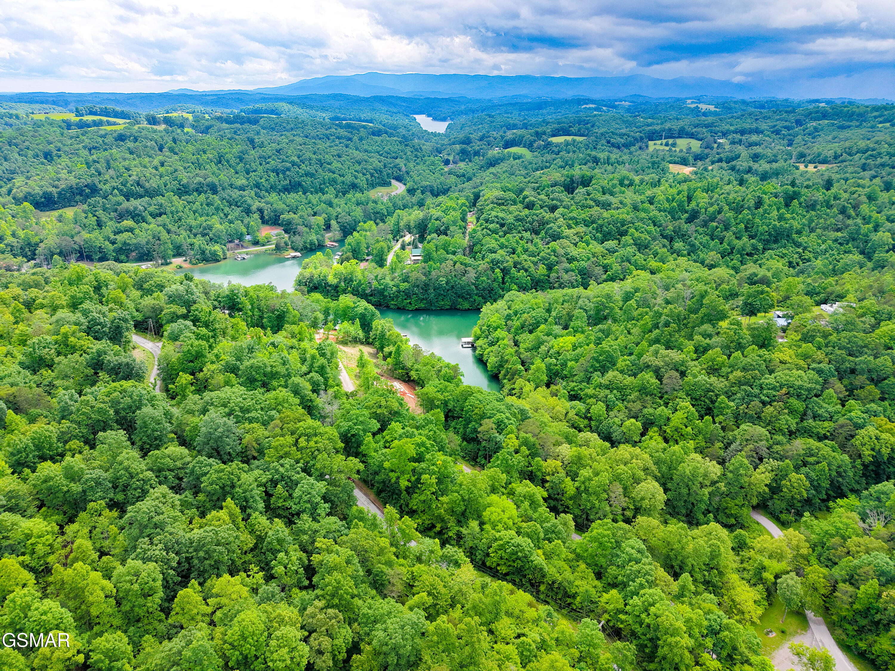 Land in La Follette 4