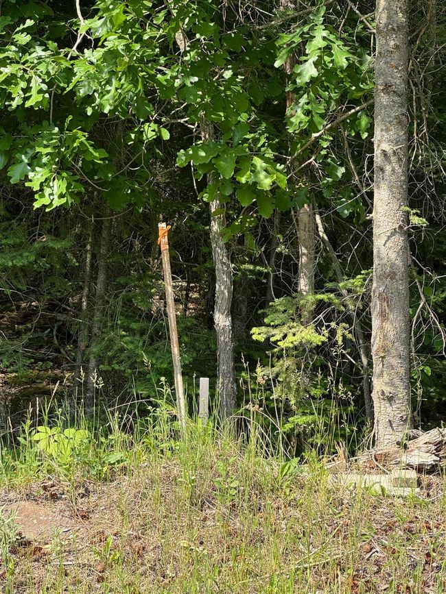 Survey Marker on Gamma Rd | Image 7