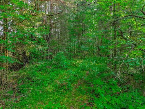 XXXX W Moose Lake Road, ROUND LAKE, WI, 54843 | Card Image