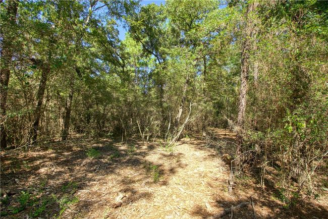 View of nature | Image 14