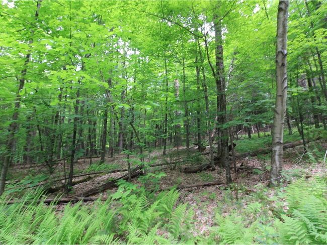 Lot 4 Piney Grove Ln, Home with 0 bedrooms, 0 bathrooms and null parking in Underhill VT | Image 11