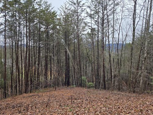 Lot 101 Eagles View Crst, Hayesville, NC, 28904-6363 | Card Image