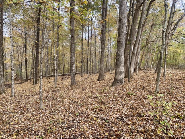 427 Blooming Grove Rd, House other with 2 bedrooms, 2 bathrooms and null parking in Five Points TN | Image 29