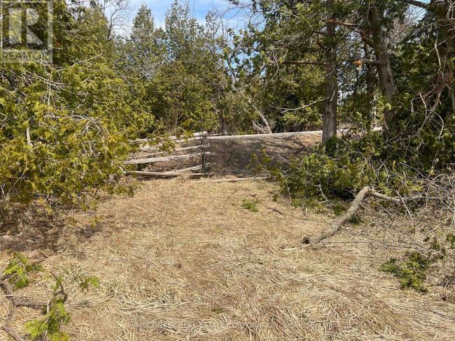 00 County Rd 13 E, Home with 0 bedrooms, 0 bathrooms and null parking in Hastings ON | Image 13