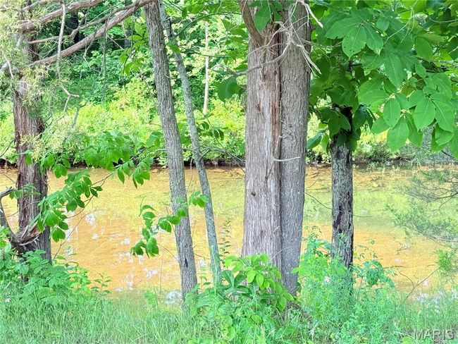 View of yard | Image 33