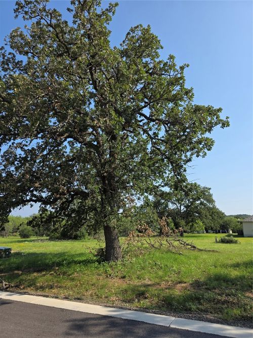 303 Parallel Cir, Horseshoe Bay, TX, 78657-6318 | Card Image