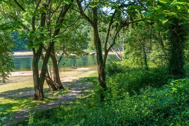 Pointe Amenities | Image 23
