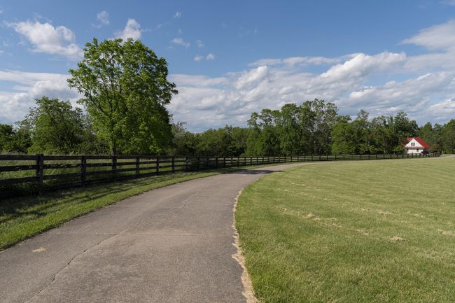 Beautiful Private Setting, Perfect Size Country Estate! | Image 4