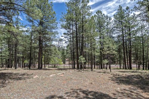 2132 Pine Valley Rd, Happy Jack, AZ, 86024-8766 | Card Image