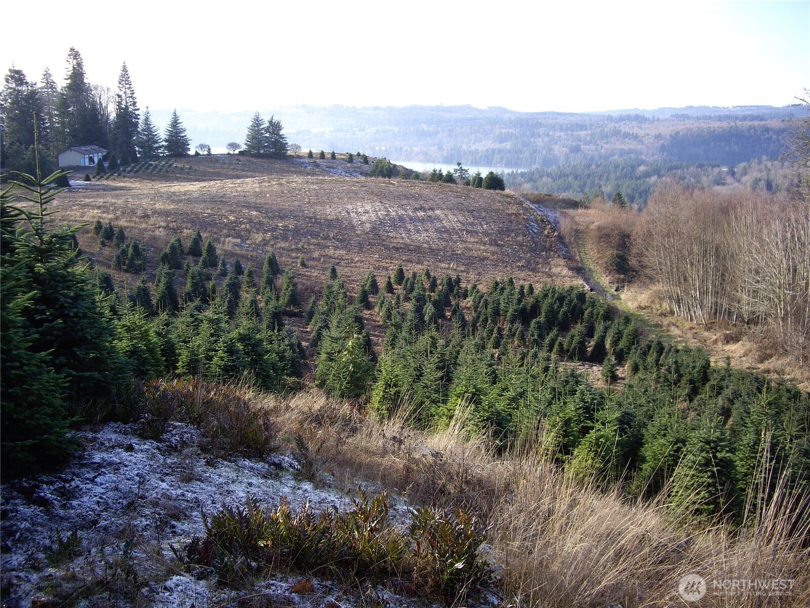 Land in Mossyrock 2