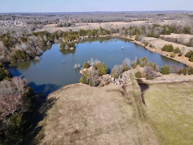 000 Brewer Rd, Home with 0 bedrooms, 0 bathrooms and null parking in Conway AR | Image 7