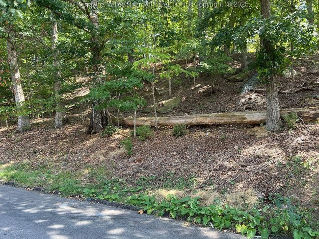 0 Harmony Ln, Home with 0 bedrooms, 0 bathrooms and null parking in South Charleston WV | Image 9