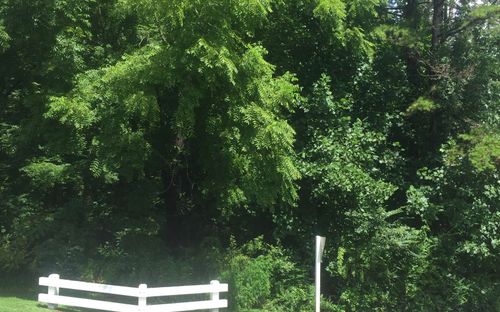 2 & 3 Chatuge Village Dr, Hayesville, NC, 28904-4787 | Card Image