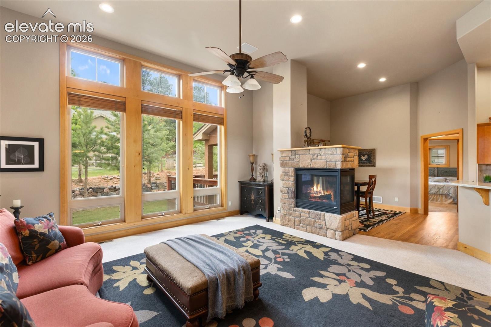 Residential in Woodland Park 2