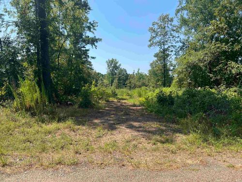 TBD Ozark Loop, Bismarck, AR, 71929 | Card Image