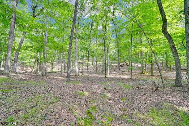 Land in Fredon Twp. 5