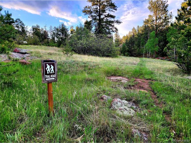 324 Pikeview Ln, House other with 3 bedrooms, 2 bathrooms and null parking in Florissant CO | Image 46