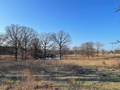 3917 County Road 4220, West Plains, MO, 65775-6442 | Card Image