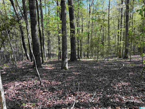 5-0 Hickory Hills Drive, CENTREVILLE, AL, 35042 | Card Image