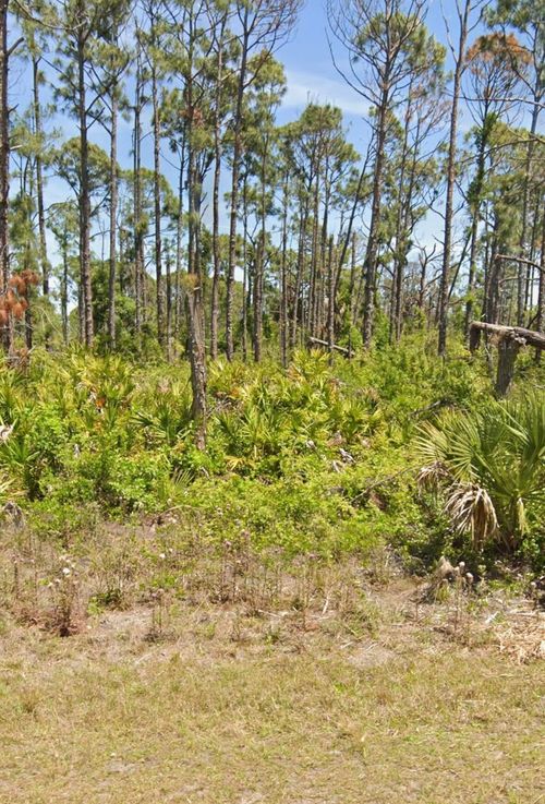7430 Coach Road, PORT CHARLOTTE, FL, 33981 | Card Image