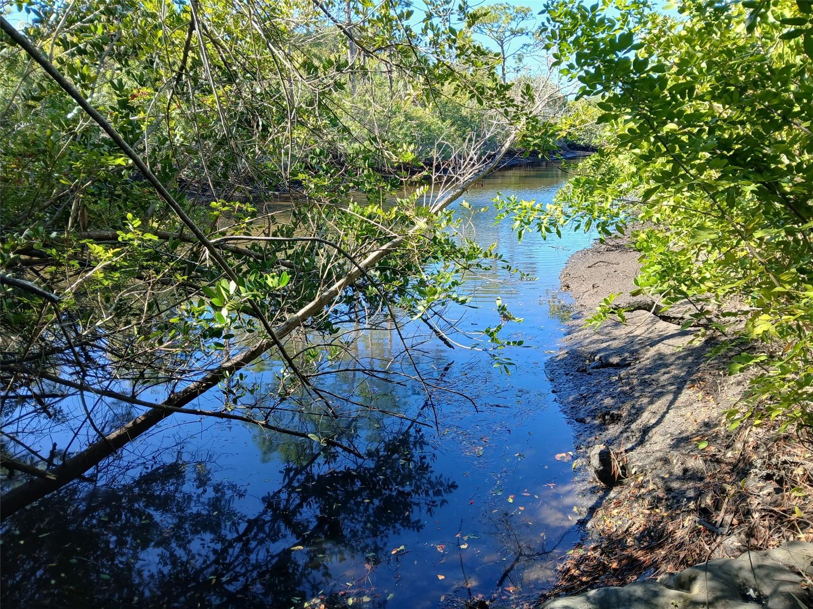 Land in PORT CHARLOTTE 3