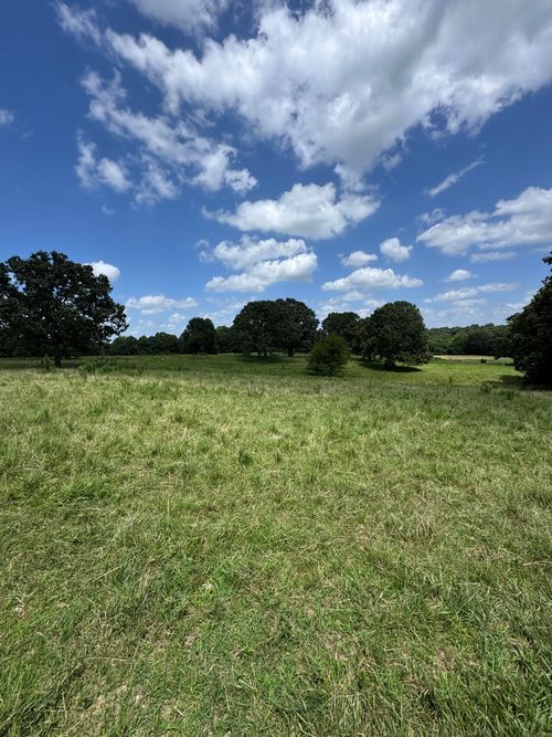 13921 County Road 6910, Caulfield, MO, 65626-9274 | Card Image