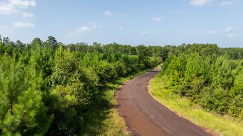 TBD 1 Sandy Creek Rd, Zavalla, TX, 75980 | Card Image