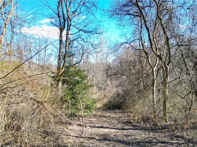 Trails on property | Image 21