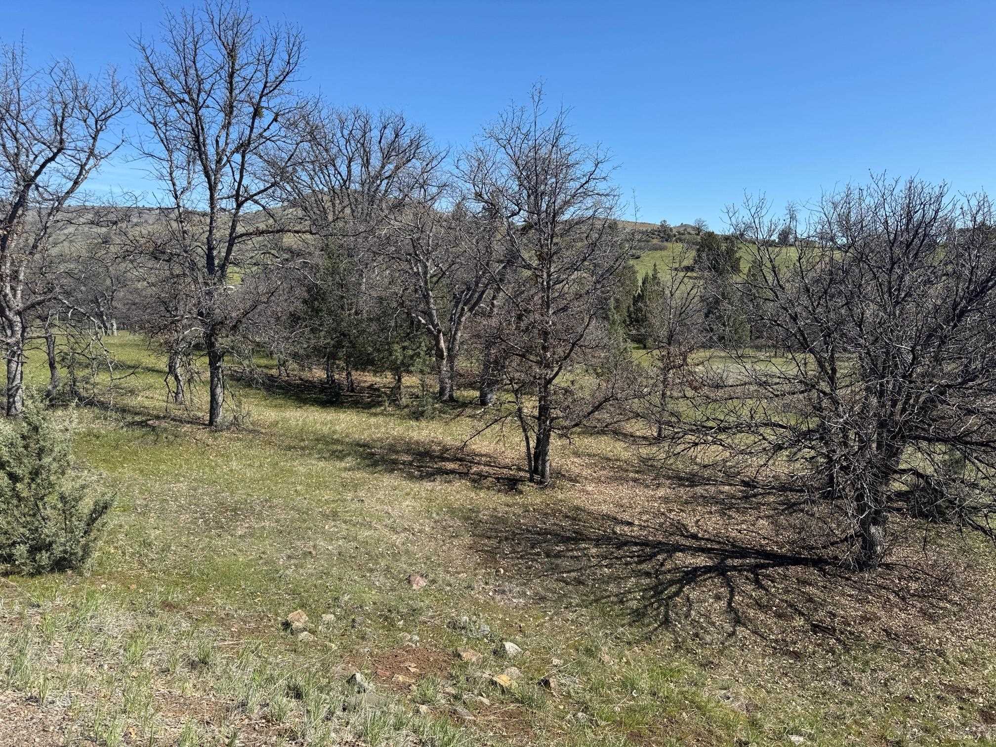 Land in Hornbrook 5