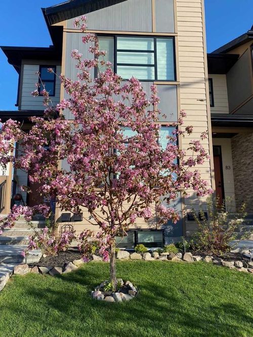 91 Wolf Hollow Pk Se, Calgary, AB, T2X4M8 | Card Image