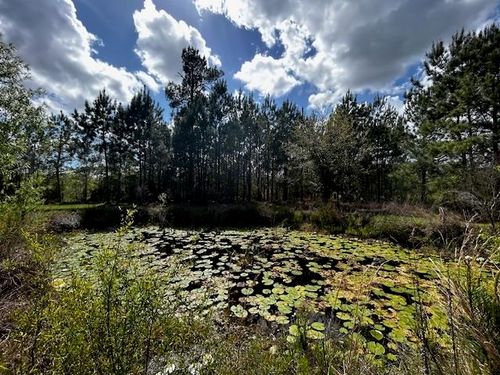 6914 State Road 71 S, Blountstown, FL, 32424-5662 | Card Image